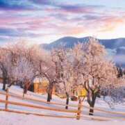 ヒメ日記 2026/01/13 12:42 投稿 つき 完熟ばなな千葉店