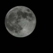 ヒメ日記 2025/04/23 20:30 投稿 りの 鹿児島ちゃんこ 薩摩川内店