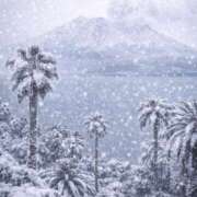 ヒメ日記 2026/02/08 21:41 投稿 りの 鹿児島ちゃんこ 薩摩川内店