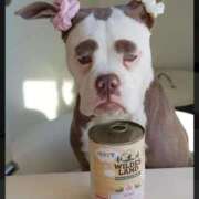 ヒメ日記 2025/10/23 21:33 投稿 おの『ぽっちゃりコース』 素人学園＠