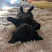 ヒメ日記 2025/11/12 18:33 投稿 おの『ぽっちゃりコース』 素人学園＠