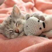 ヒメ日記 2025/11/22 08:18 投稿 おの『ぽっちゃりコース』 素人学園＠