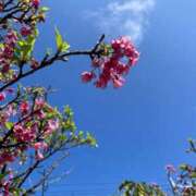 ヒメ日記 2026/03/01 20:33 投稿 おの『ぽっちゃりコース』 素人学園＠