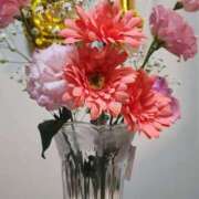 ヒメ日記 2025/02/20 18:05 投稿 のん CECIL