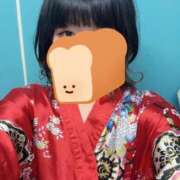 ヒメ日記 2025/03/15 11:24 投稿 しずく いざ候 別館