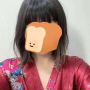 ヒメ日記 2025/04/01 14:54 投稿 しずく いざ候 別館