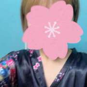 ヒメ日記 2025/05/23 11:14 投稿 しずく いざ候 別館