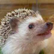 ヒメ日記 2025/03/19 21:56 投稿 白石 ちな ハレ系 メイドin福岡