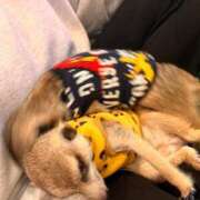 ヒメ日記 2025/03/27 10:17 投稿 白石 ちな ハレ系 メイドin福岡