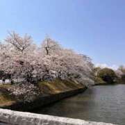 ヒメ日記 2025/04/03 17:21 投稿 白石 ちな ハレ系 メイドin福岡