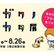 ヒメ日記 2025/07/19 11:23 投稿 白石 ちな ハレ系 メイドin福岡