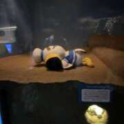 ヒメ日記 2025/08/09 20:00 投稿 白石 ちな ハレ系 メイドin福岡