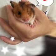 ヒメ日記 2025/09/25 15:14 投稿 白石 ちな ハレ系 メイドin福岡