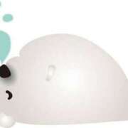 ヒメ日記 2025/09/27 11:15 投稿 白石 ちな ハレ系 メイドin福岡