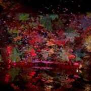 ヒメ日記 2025/11/12 11:58 投稿 白石 ちな ハレ系 メイドin福岡