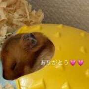 ヒメ日記 2025/11/13 09:56 投稿 白石 ちな ハレ系 メイドin福岡