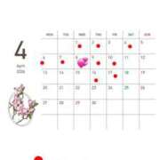 ヒメ日記 2026/03/22 13:36 投稿 白石 ちな ハレ系 メイドin福岡