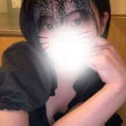 ヒメ日記 2026/03/23 10:52 投稿 白石 ちな ハレ系 メイドin福岡