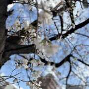 ヒメ日記 2025/03/29 09:50 投稿 もか スピードエコ天王寺店