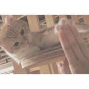 ヒメ日記 2025/05/18 14:30 投稿 もか スピードエコ天王寺店