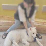 ヒメ日記 2025/06/06 18:50 投稿 もか スピードエコ天王寺店