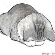 ヒメ日記 2025/06/22 08:20 投稿 もか スピードエコ天王寺店