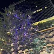 ヒメ日記 2025/10/29 19:40 投稿 もか スピードエコ天王寺店