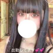 ヒメ日記 2025/11/11 22:30 投稿 ねね THE ESUTE 五反田店