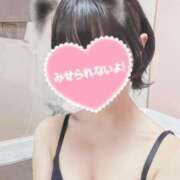 ヒメ日記 2026/08/01 06:24 投稿 持丸さらん 聖リッチ女学園