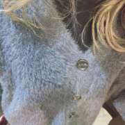 ヒメ日記 2025/02/08 08:26 投稿 せいか奥様 人妻倶楽部　日本橋店