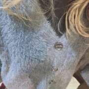 ヒメ日記 2026/02/03 09:36 投稿 せいか奥様 人妻倶楽部　日本橋店