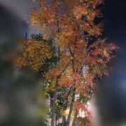 ヒメ日記 2024/12/26 00:14 投稿 みき Noble