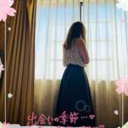 ヒメ日記 2025/03/30 09:15 投稿 白川　こよみ エテルナ京都