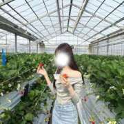 Mari ご予約方法💌 LUXURY（ラグジュアリー）