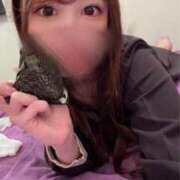 ヒメ日記 2025/03/18 12:38 投稿 さくら 新感覚恋活ソープもしも彼女が○○だったら・・・福岡中州本店