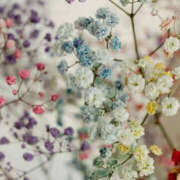 ヒメ日記 2025/07/09 00:00 投稿 ゆい 奥鉄オクテツ神奈川店（デリヘル市場グループ）