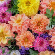 ヒメ日記 2025/07/24 07:30 投稿 ゆい 奥鉄オクテツ神奈川店（デリヘル市場グループ）