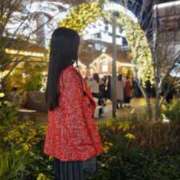 ヒメ日記 2024/12/17 13:03 投稿 颯 VIP