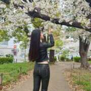 ヒメ日記 2025/04/09 17:43 投稿 颯 VIP