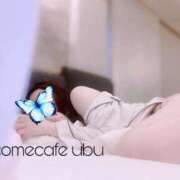 ヒメ日記 2025/02/13 15:57 投稿 うぶ Welcome Cafe(ウェルカムカフェ) 八王子本店