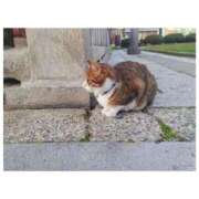 きこ 年内最後の出勤♥️ マダム可憐