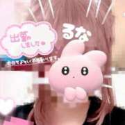 ヒメ日記 2025/05/28 03:02 投稿 ルナ 俺のジュニア