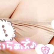 ヒメ日記 2025/09/13 03:06 投稿 ルナ 俺のジュニア