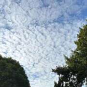 ヒメ日記 2025/09/23 22:52 投稿 長濱 依織 クラブアイリス名古屋