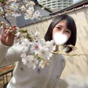 ヒメ日記 2026/03/23 13:08 投稿 なごみ ノーパンエステ!?絶頂させる天使たち