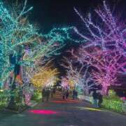 ヒメ日記 2025/01/16 19:44 投稿 あんな 千葉人妻花壇