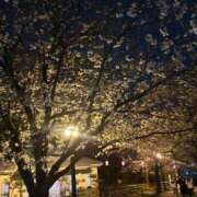 ヒメ日記 2025/04/07 19:34 投稿 あんな 千葉人妻花壇