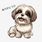 ヒメ日記 2025/05/01 21:57 投稿 あんな 千葉人妻花壇