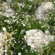 ヒメ日記 2025/05/05 20:43 投稿 あんな 千葉人妻花壇