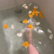 ヒメ日記 2025/05/26 11:34 投稿 あんな 千葉人妻花壇